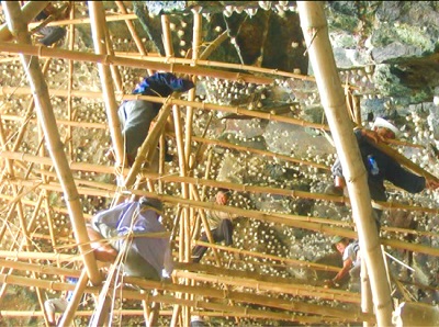 cac tinh co nghe nuoi yen tai viet nam 2