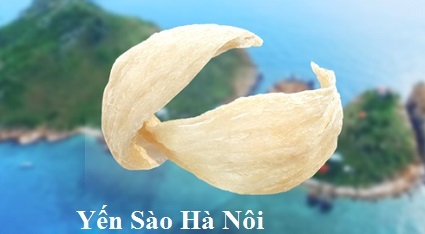 phan biet to yen that gia duoi anh sang mat troi